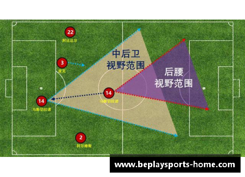 足球球星卡颜色解析与收藏价值的深度探讨与对比分析